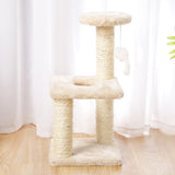 Small Cat Climbing Tree Frame