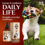 Charlie Buddy H–µmp Oil for Dogs Cats Hi—Ä and J–æint Supp–ært and