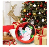 Outdoor Christmas Ornament Ball